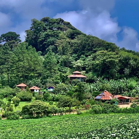 Finca Neblina Del Bosque Естелі Екстер'єр фото