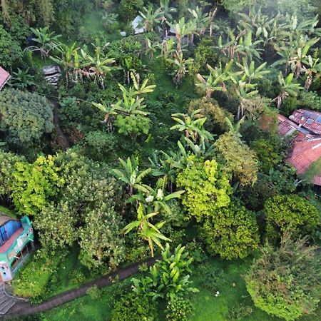 Finca Neblina Del Bosque Естелі Екстер'єр фото