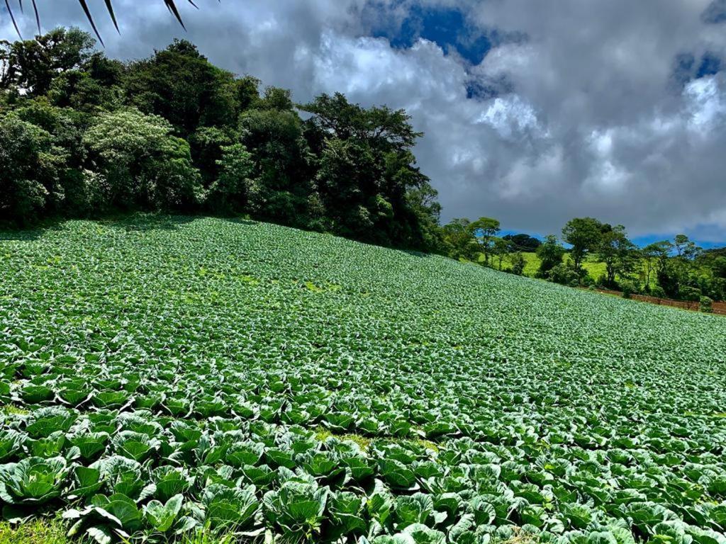 Finca Neblina Del Bosque Естелі Екстер'єр фото