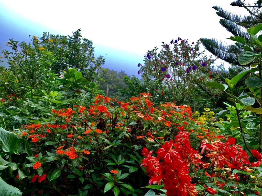 Finca Neblina Del Bosque Естелі Екстер'єр фото