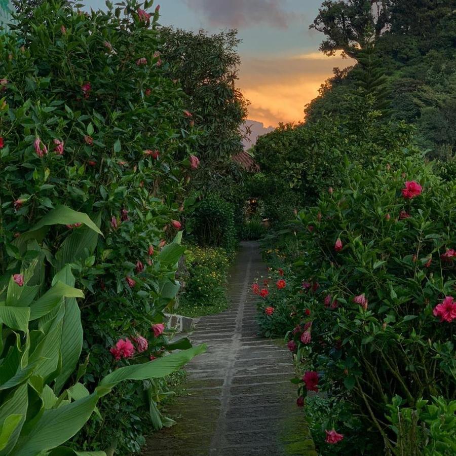 Finca Neblina Del Bosque Естелі Екстер'єр фото