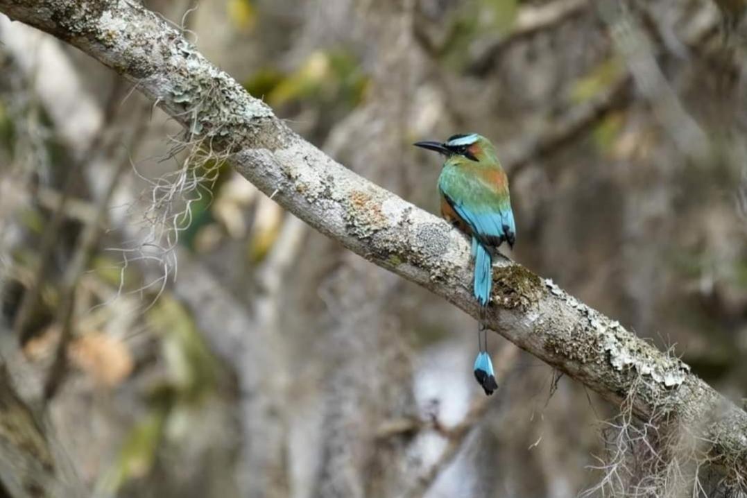 Finca Neblina Del Bosque Естелі Екстер'єр фото