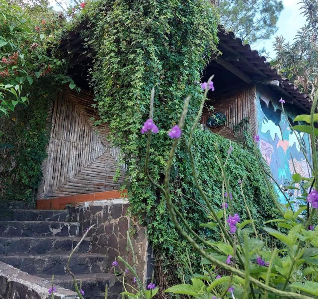 Finca Neblina Del Bosque Естелі Екстер'єр фото